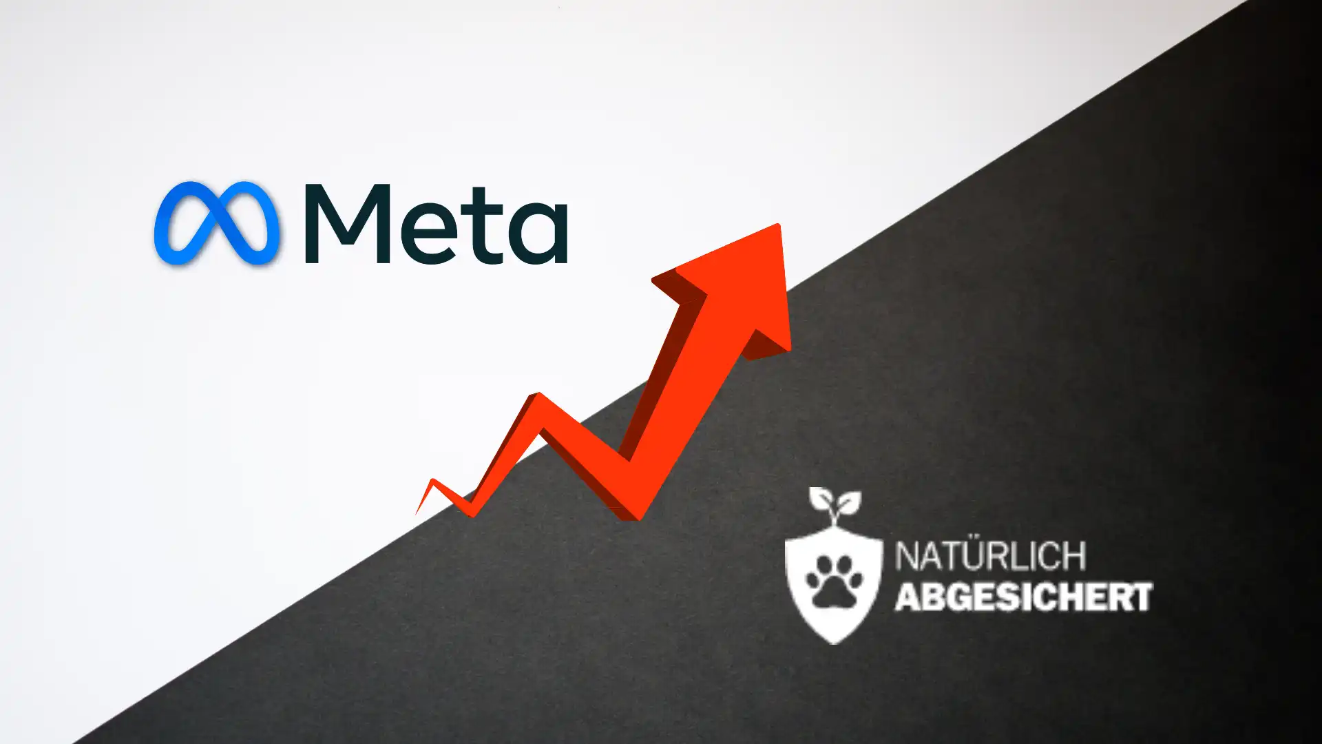 Meta Ads Case Study natuerlichabgesichert.de