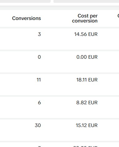 Google Ads Case Study Beauty Sector